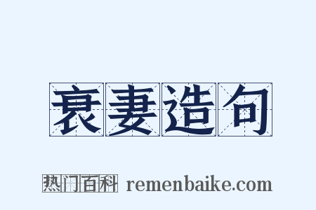 衰妻造句是什么意思的图片